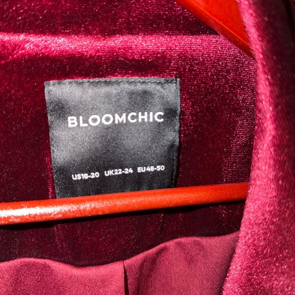 Women’s Velvet Blazer Jacket Size 18 NWOT - Picture 2 of 6